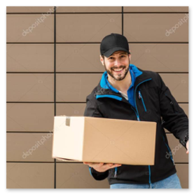 Icona consegna veloce